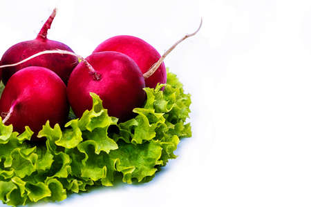 cabbage and radishes isolated on a white backgroundの写真素材