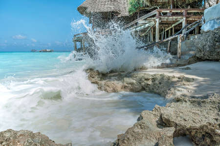 Vacation on Zanzibarの写真素材