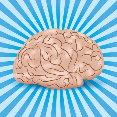 Healthy brain on a blue background with linesのイラスト素材