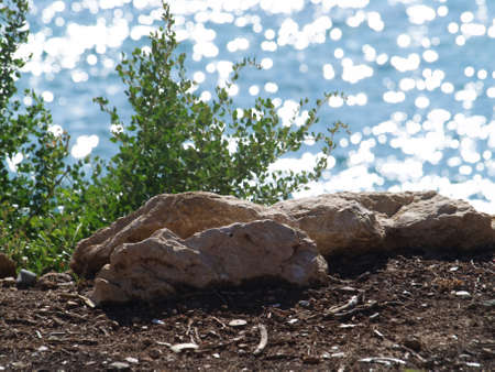Closeup stones on the background of seaの写真素材