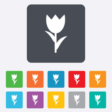 Flower sign icon. Rose symbol. Macro. Rounded squares 11 buttons. Vectorのイラスト素材