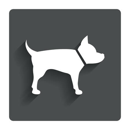 Dog sign icon. Pets symbol. Gray flat button with shadow. Modern UI website navigation. Vectorのイラスト素材