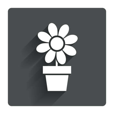 Flowers in pot icon. Bouquet of flowers with petals. Macro sign. Gray flat square button with shadow. Modern UI website navigation. Vectorのイラスト素材