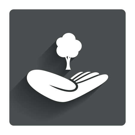Save forest sign icon. Hand holds tree symbol. Environmental protection symbol. Gray flat square button with shadow. Modern UI website navigation. Vectorのイラスト素材