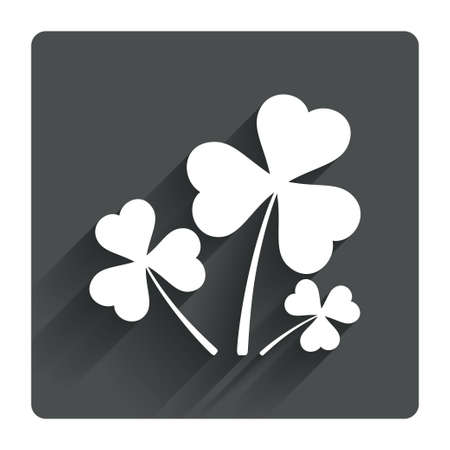 Clovers with three leaves sign icon. Saint Patrick trefoil shamrock symbol. Gray flat square button with shadow. Modern UI website navigation. Vectorのイラスト素材