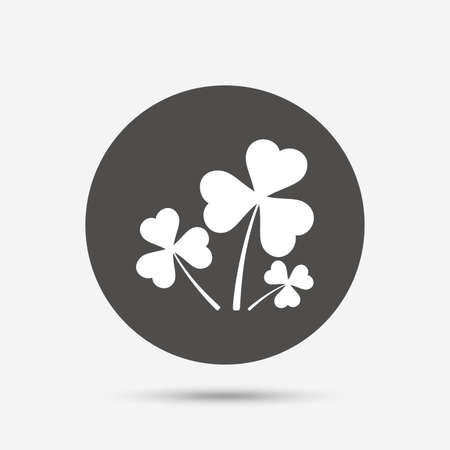 Clovers with three leaves sign icon. Saint Patrick trefoil shamrock symbol. Gray circle button with icon. Vectorのイラスト素材