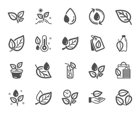 Plants icons. Mint leaf, Growing plants and Humidity thermometer icons. Bottle with mint water, Nature care, leaf on hand. Gardening new flower, environment, water drop and thermometer. Vectorのイラスト素材