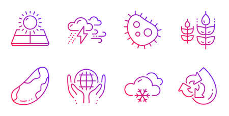 Organic tested, Gluten free and Bad weather line icons set. Snow weather, Bacteria and Brazil nut signs. Sun energy, Recycle water symbols. Safe nature, Bio ingredients. Nature set. Vectorのイラスト素材