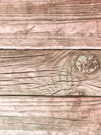 Wooden tablecloth isolate and gardenの写真素材