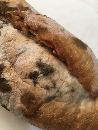 Moldy bread texture unit isolateの写真素材