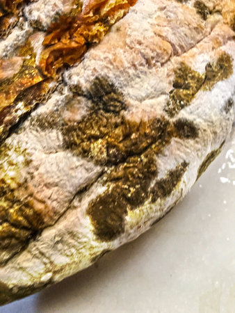 Moldy bread texture unit isolateの写真素材
