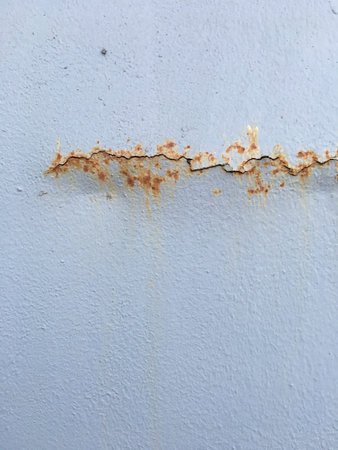 tissue and texture background unit isolate