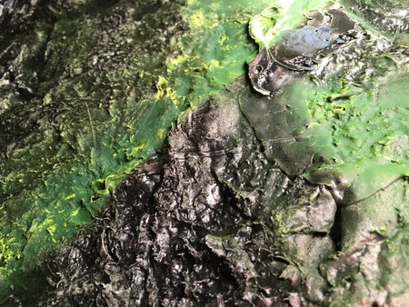 tissue and texture background unit isolate