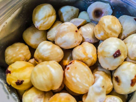 Hazelnut filbert backgroundの写真素材