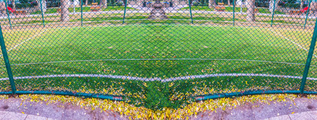 Carpet field, football background unit isolateの写真素材