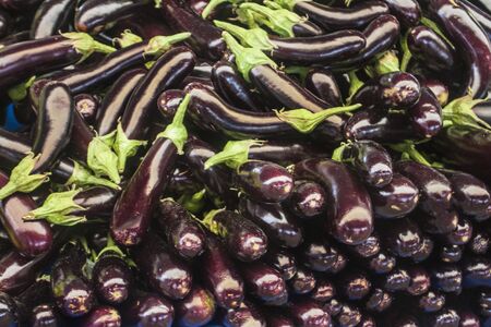 eggplant aubergine background unit isolateの写真素材