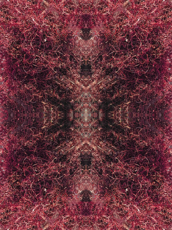 tissue and texture background unit isolateの写真素材