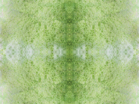 Soap bubbles  beer bubbles  Background unit isolateの写真素材