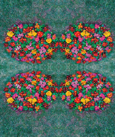 Outdoor garden and flowers unit isolateの写真素材