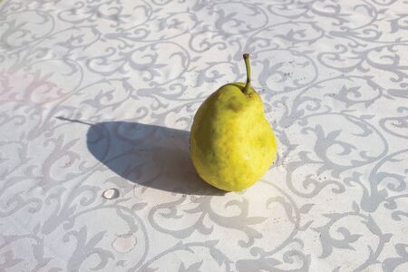 pear in the branch background unit isolateの写真素材