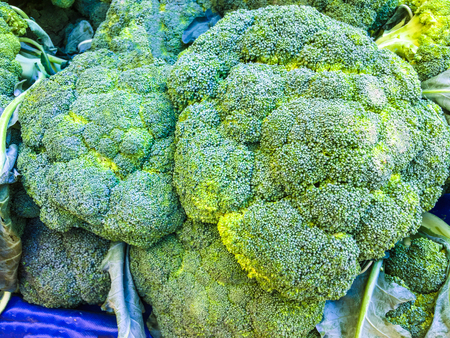 broccoli, plant background unit isolateの写真素材