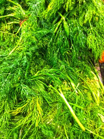 dill background unit isolateの写真素材