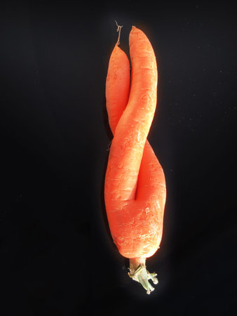 salad ,coleslaw  background unit isolateの写真素材