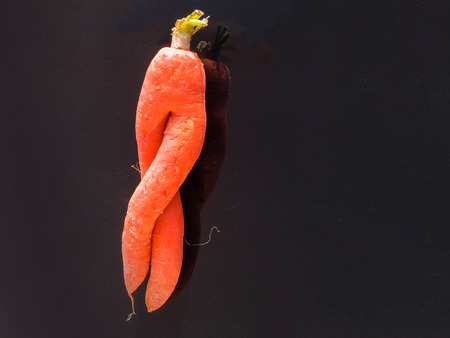 salad ,coleslaw  background unit isolateの写真素材