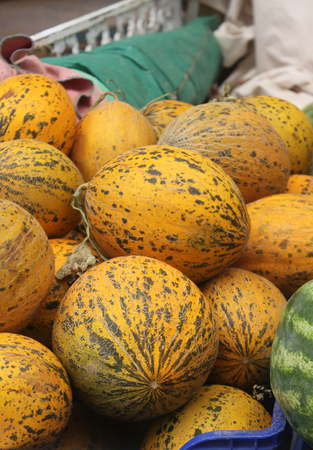 melon background unit isolateの写真素材