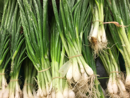 Scallion green onion background unit isolateの写真素材