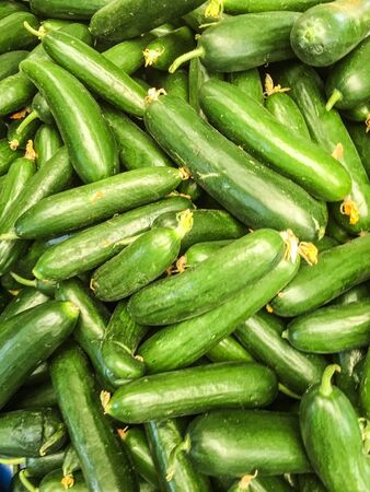 Cucumbers background unit isolateの写真素材