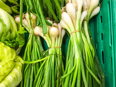 Scallion Green onions background unit isolate