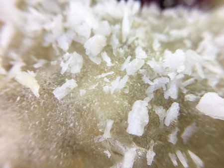 rice wafers stuffed with nuts background unit isolate