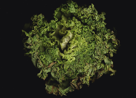 lettuce  background unit isolateの写真素材