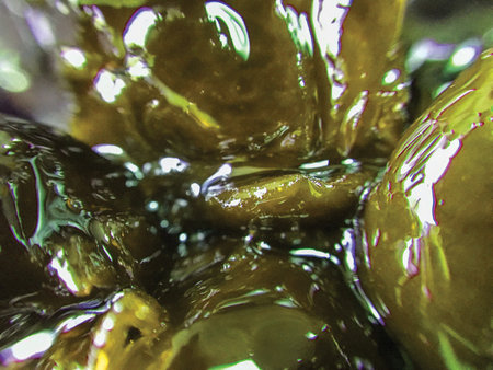 jam sweet background unit isolateの写真素材