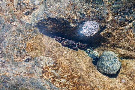 sea, marine, nautical natural の写真素材
