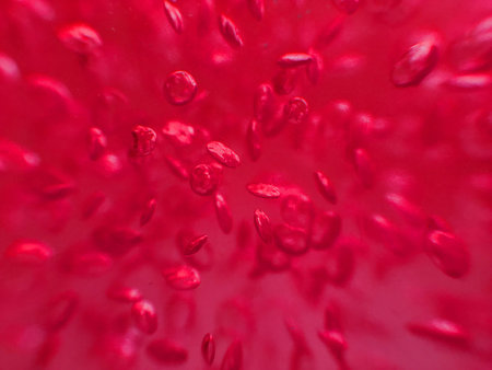 in liquid air bubblesの写真素材