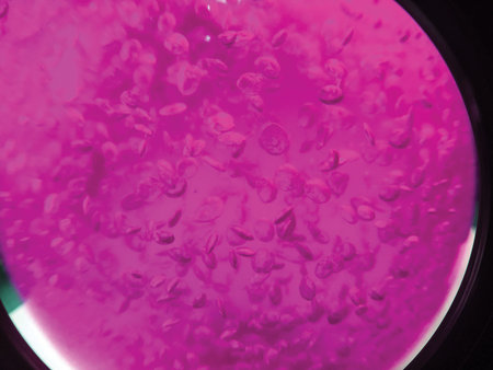 in liquid air bubbles
