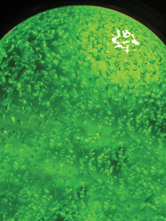 in liquid air bubbles