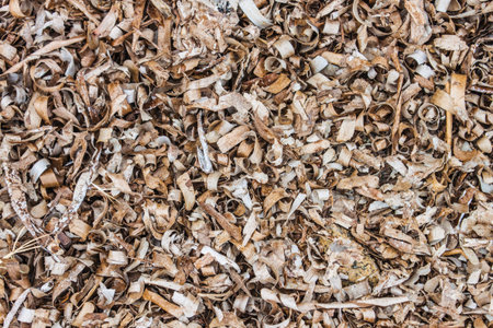 seaweed texture background isolate
