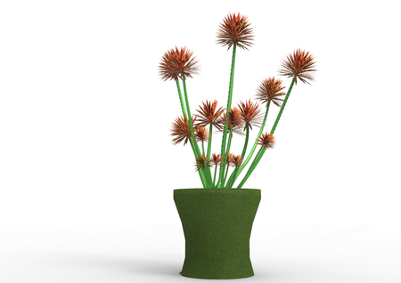 flycatcher plant 3D isolate backgroundの写真素材