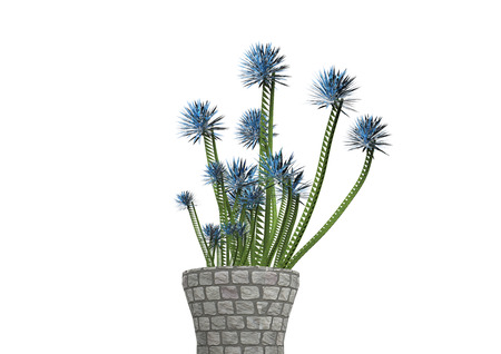 flycatcher plant 3D isolate backgroundの写真素材