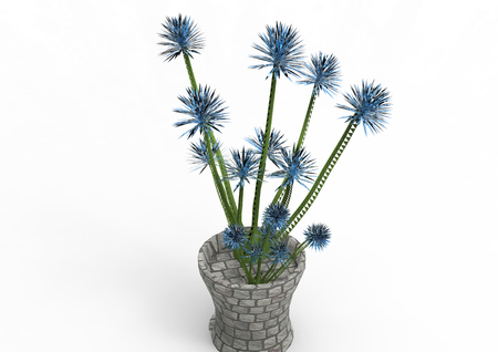flycatcher plant 3D isolate backgroundの写真素材