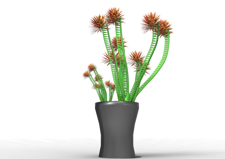 flycatcher plant 3D isolate backgroundの写真素材