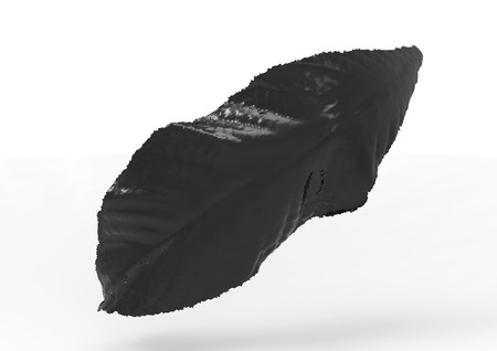 leaf 3D isolate backgroundの写真素材