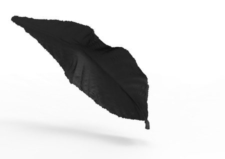 leaf 3D isolate backgroundの写真素材