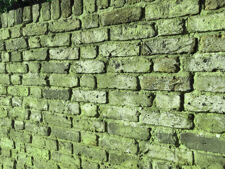 brick wall background textureの写真素材