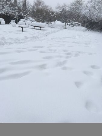 outdoors snow isolate backgroundの写真素材