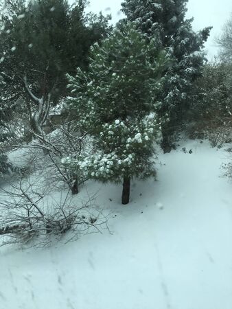 outdoors snow isolate backgroundの写真素材