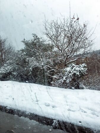 outdoors snow isolate backgroundの写真素材